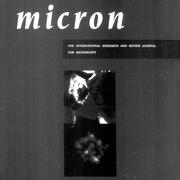 Micron 1993-1995